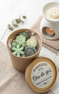 Wax Melts “Día de spa”